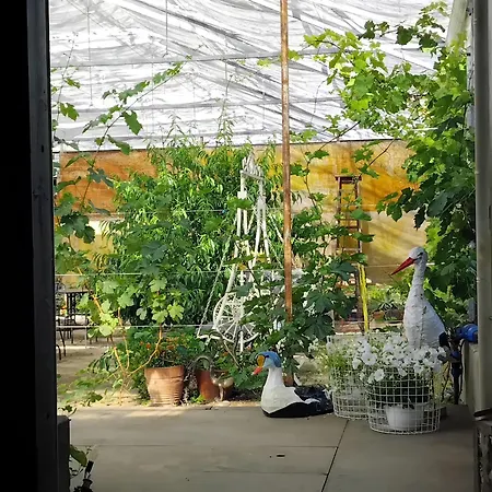 300m2 Greenhouse